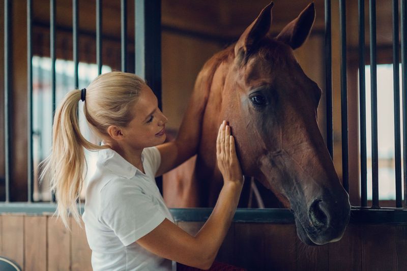 How EquiTwist Therapy Prepares You to Be Successful in the Equine Industry