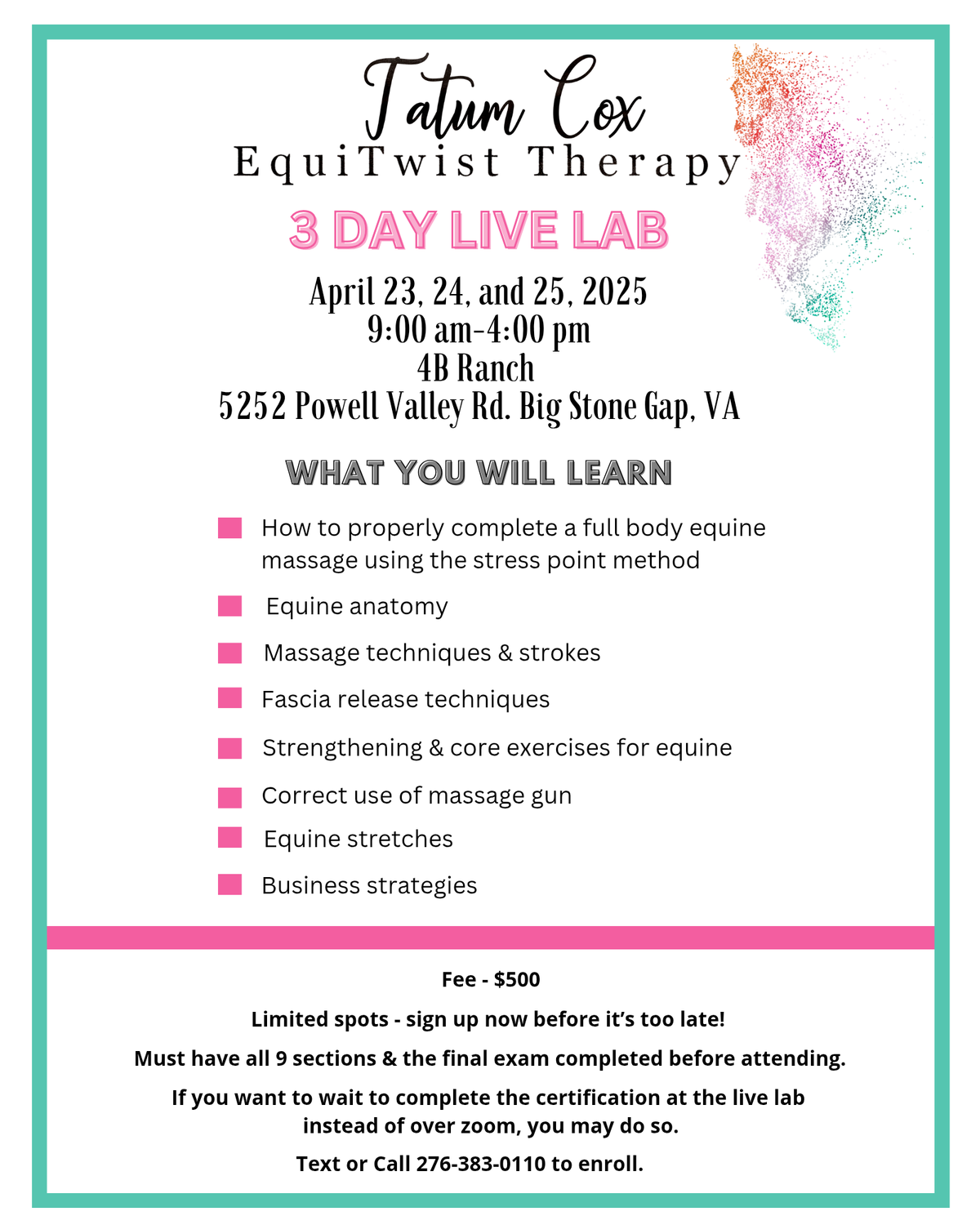 Equine Massage Therapy Certification - Live Lab