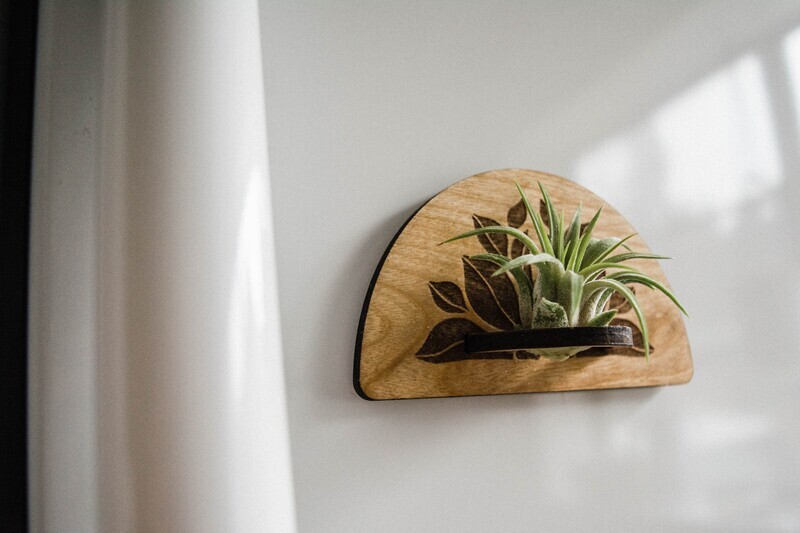 Arch Flower Magnet Airplant Holder: NATURAL
