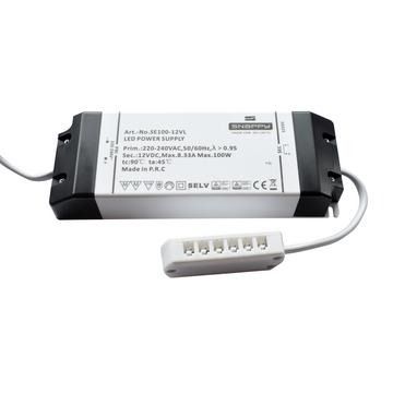 100W 12 Port Driver