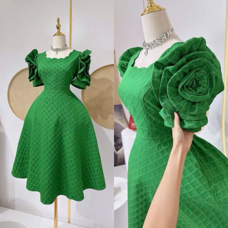 Puff Sleeve Elegant Dress