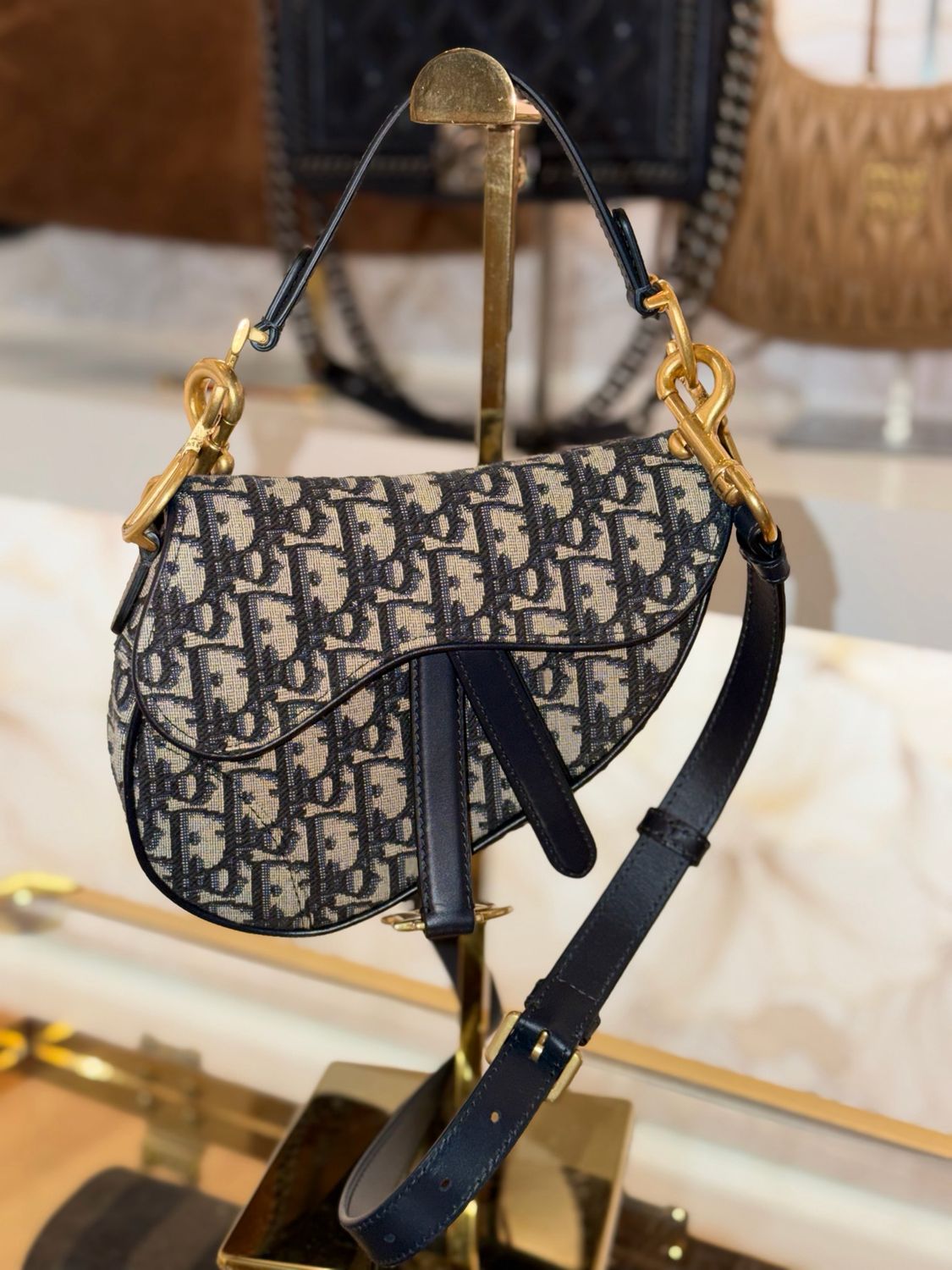 Dior saddle Mini