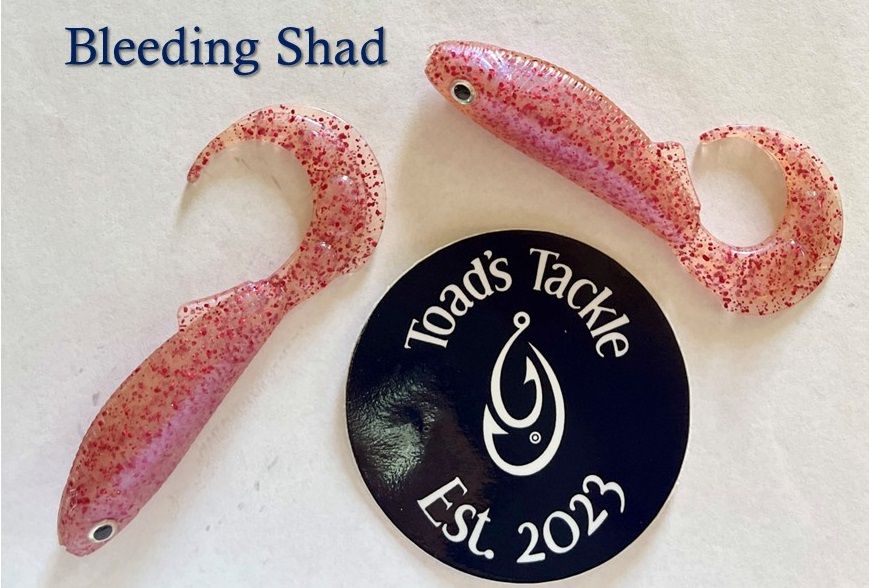 Whipwad Swim Bait w/Hook Slot