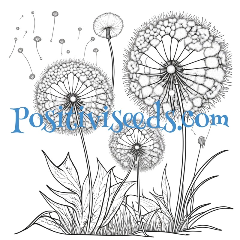 Tokens Vision Board Magical