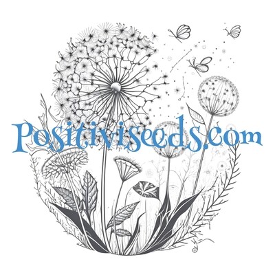 Tokens and Symbols