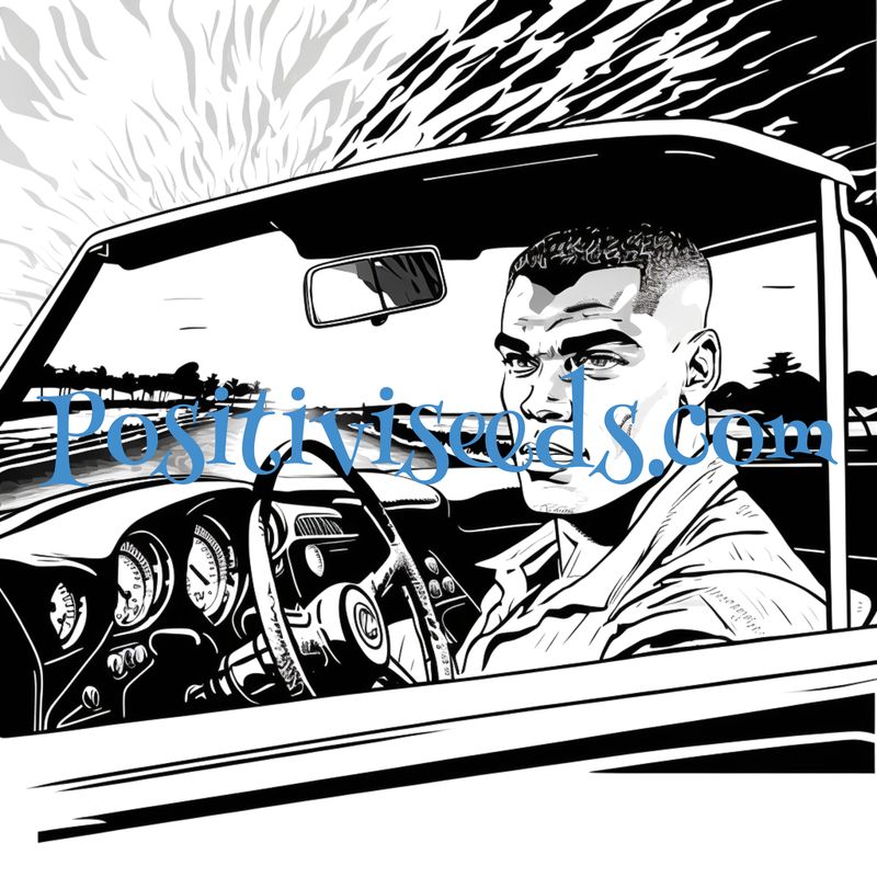 Dream Car Vision Board Stylish