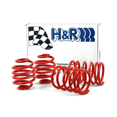 BMW E30 318i/318is H&R Race Lowering Springs (Non Cabrio)