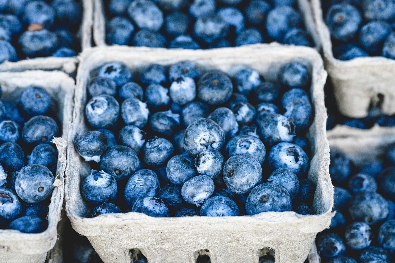 Blueberry - 50ml
