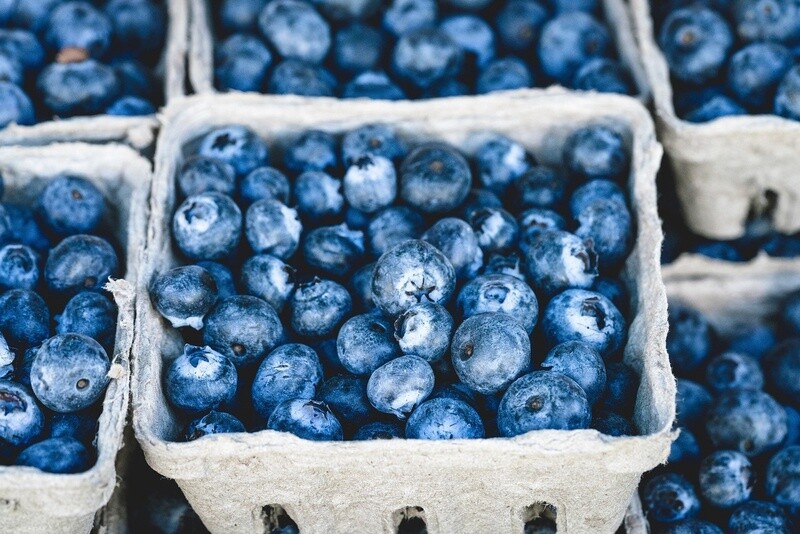 Blueberry - 100ml