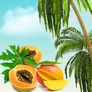 Magnum Guru - 100ml