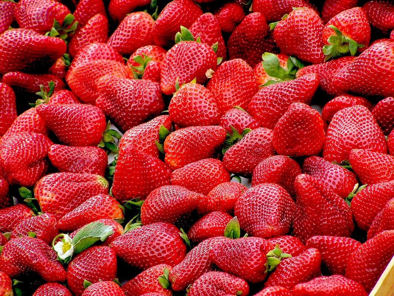 Strawberry - 30ml