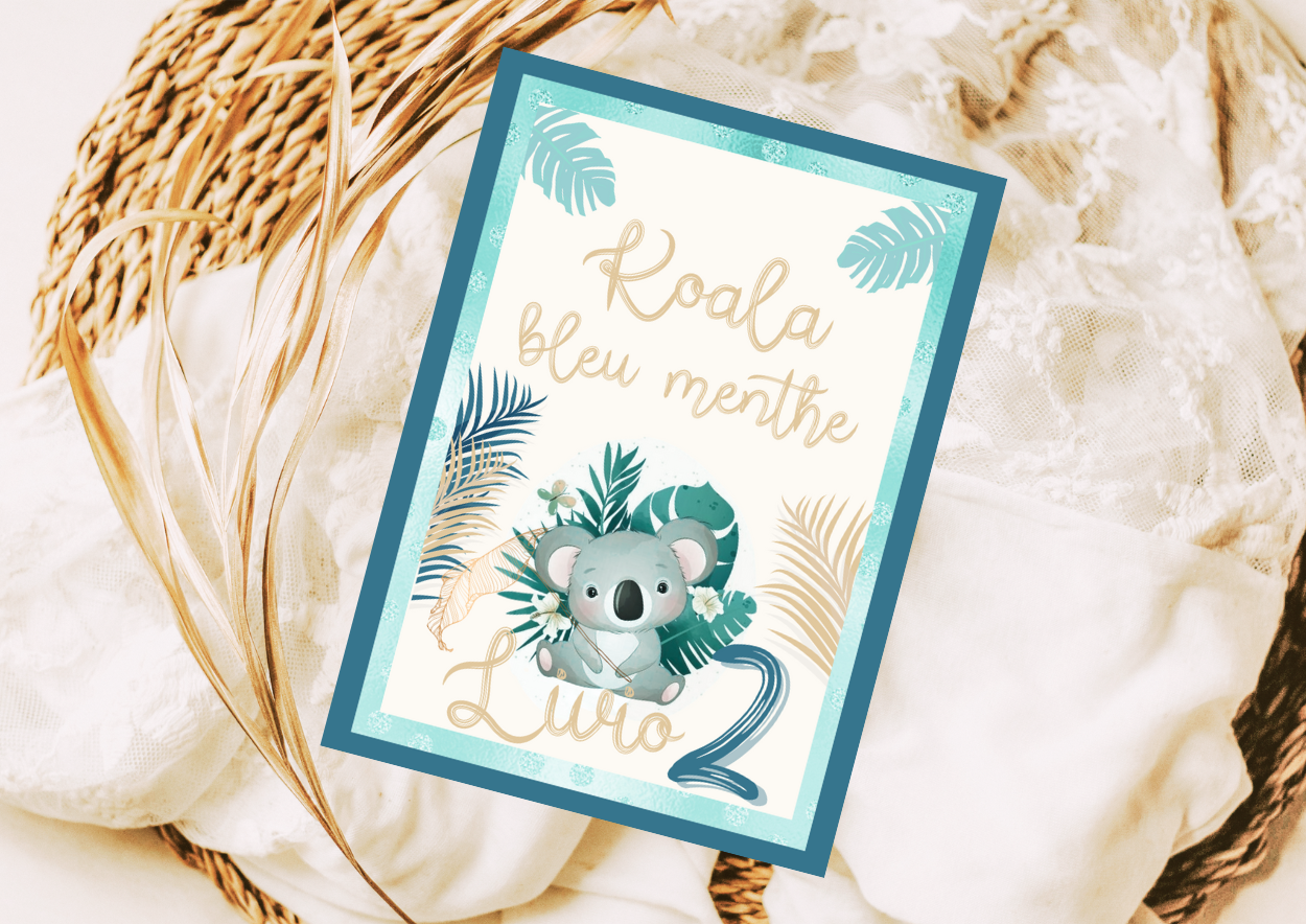 KOALA bleu menthe - Pack numérique