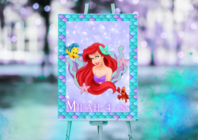 ARIEL modèle 2 - Pack numérique