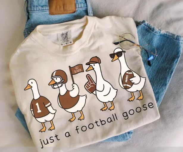 just A Football Goose