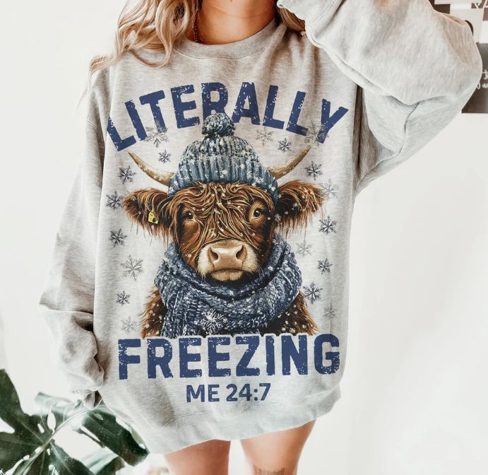 HIGHLAND COW LIITERALLY FREEZING