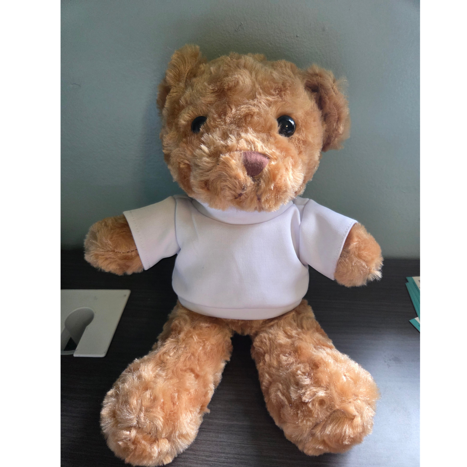 TEDDY BEAR PLUSH