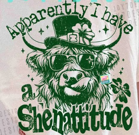APPARENTLY I HAVE A SHENATTITUDE