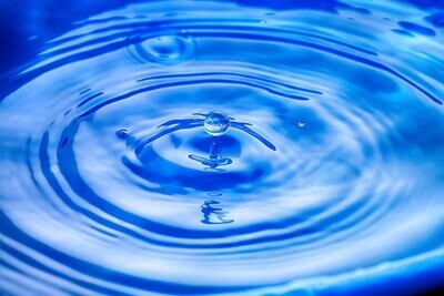 Liquid Feed