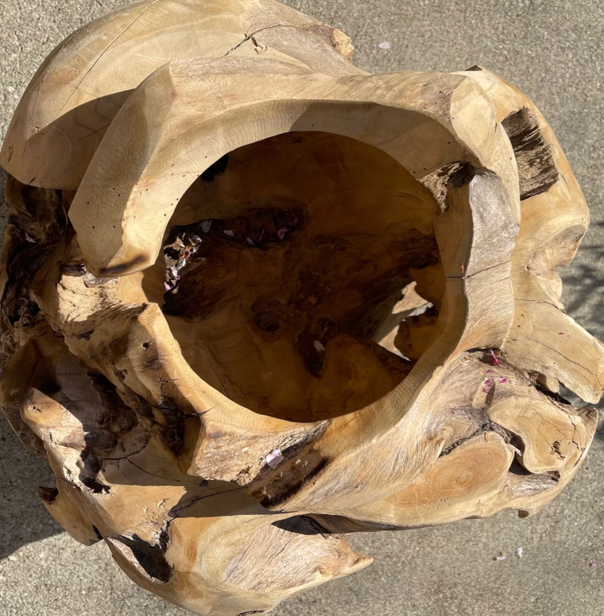 Teak Wood Planter Live Edge Natural Teak Root Flower Pot Teak Driftwood