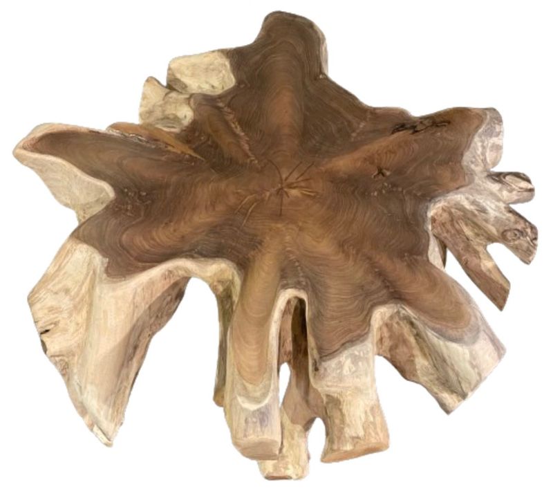 Medium Round Teak Root Coffee Table Driftwood Cocktail Table Organic Furniture