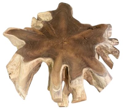 Medium Round Teak Root Coffee Table Driftwood Cocktail Table Organic Furniture