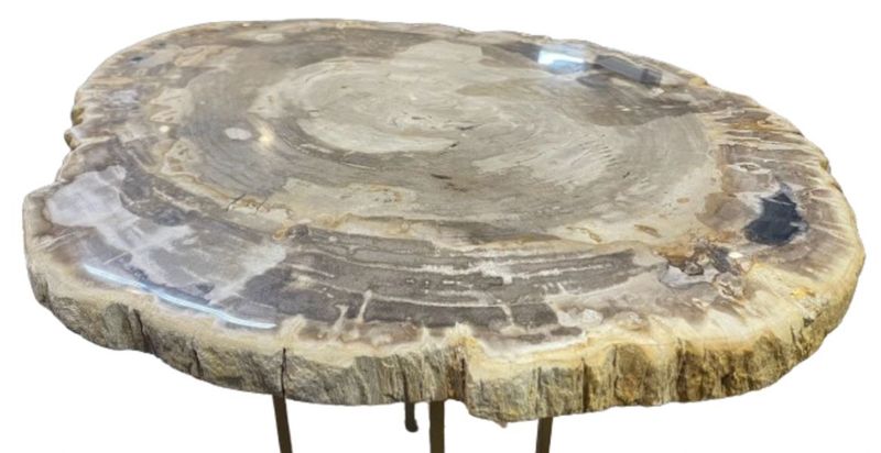 Petrified Wood Table Top Stone Serving Tray