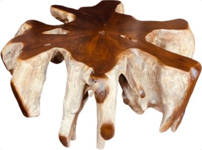Extra Large 47" Round Teak Root Coffee Table Live Edge Teak Driftwood Accent Table Organic Teak Furniture