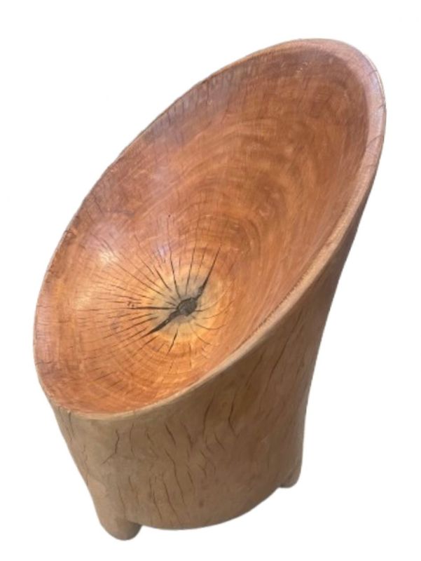 Teak Driftwood Pod Chair