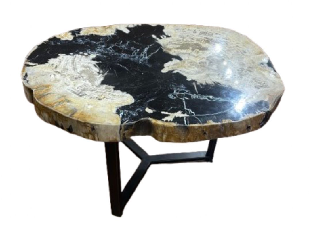 Petrified Wood Coffee Table Stone Cocktail Table