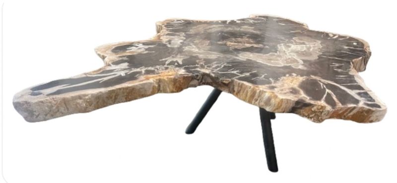 Petrified Wood Coffee Table Stone Cocktail Table