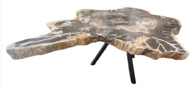 Petrified Wood Coffee Table Stone Cocktail Table