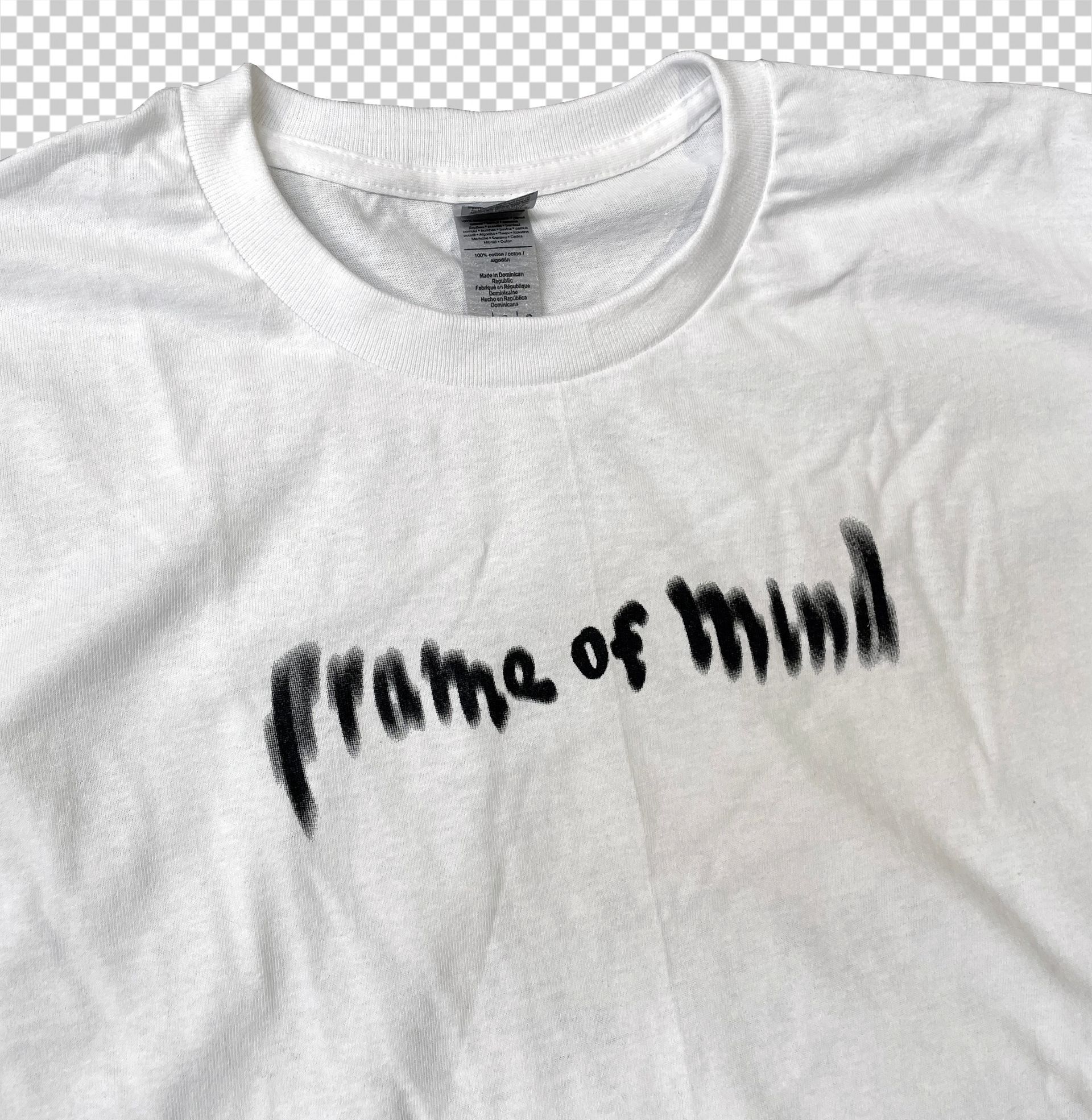 Frame of Mind — Logo T Shirt (White)