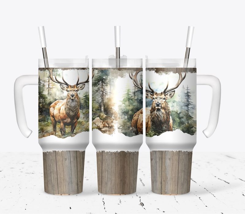 Elk