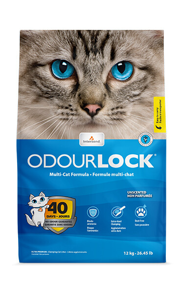 Intersand OdorLock Unscented 25#