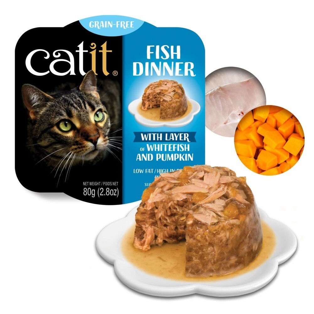 CatIt Fish w/Whitefish & Pumpkin Tub 24/case