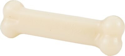 Nylabone DuraChew Bone Regular (X)