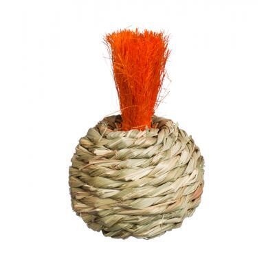 PreVue Grassy Nibblers Squash (X)