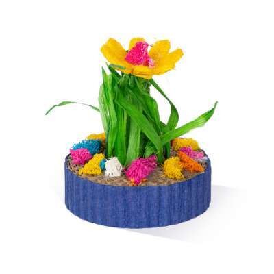 PreVue Succulent Mini Garden (X)