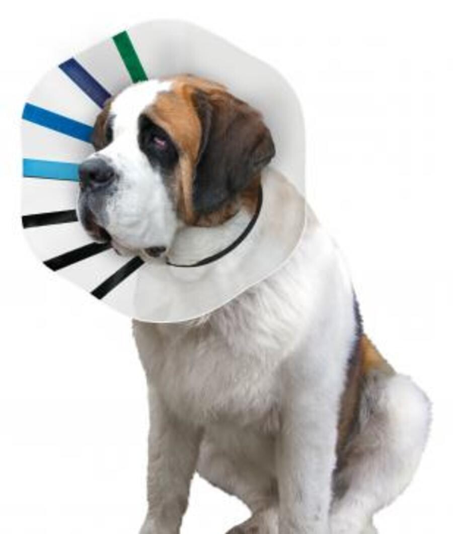 Kong Elizabethan Collar Double Extra Large