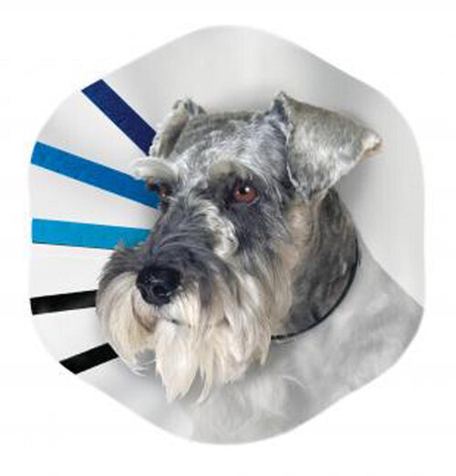 Kong Elizabethan Collar Medium