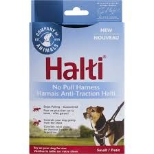 Company of Animals Halti No Pull Harness Small (CO) was $34.99