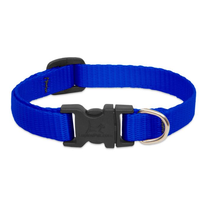 Lupine Adjustable Collar 1'' Blue 16-28''