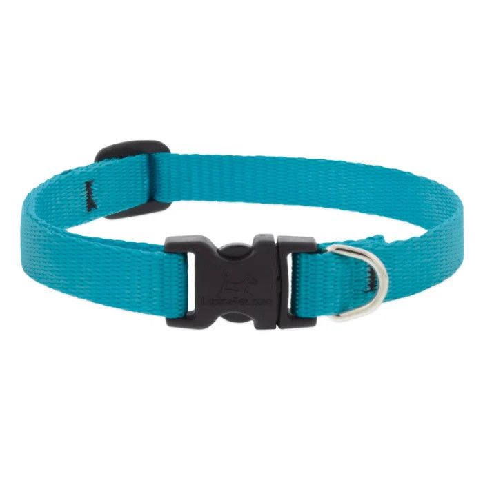 Lupine Adjustable Collar 1/2'' Aqua 10-16''