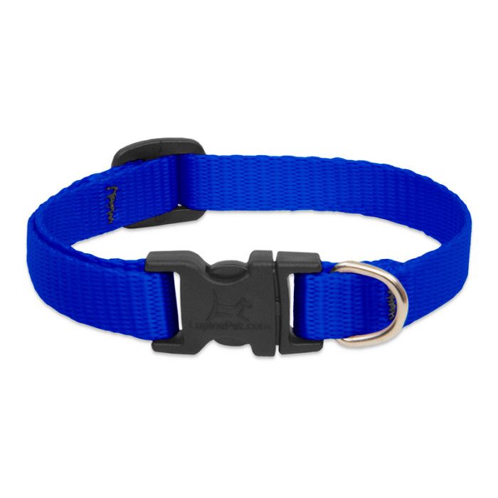 Lupine Adjustable Collar 1/2'' Blue 8-12''