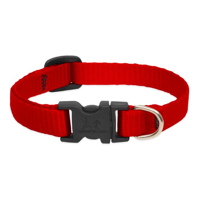 Lupine Adjustable Collar 3/4'' Red 9-14''