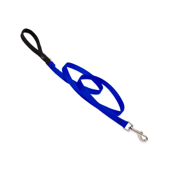 Lupine Leash 1'' Blue 6ft
