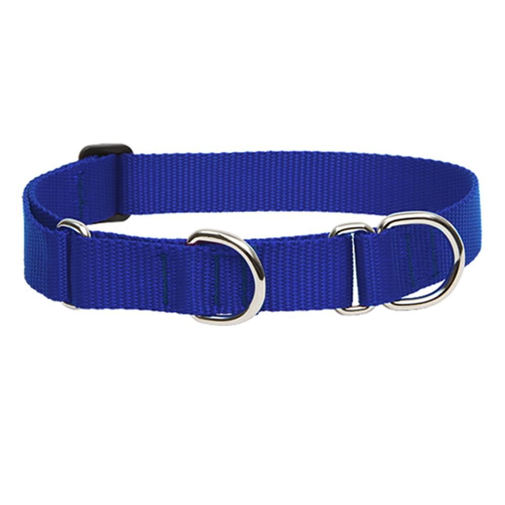 Lupine Martingale Collar 3/4'' Blue 14-20'' (X)