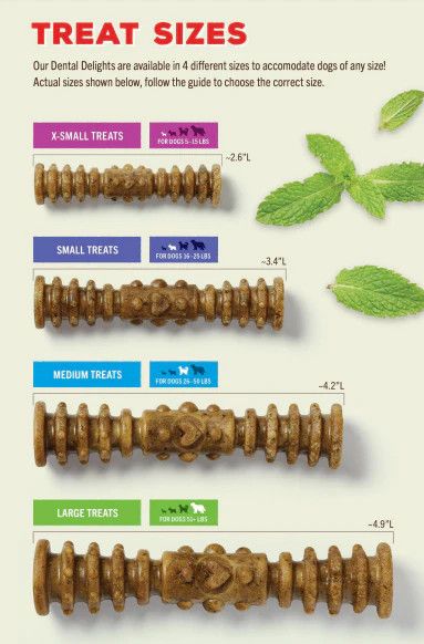 Stella & Chewy's Dental Treat Single Serve Medium 20/Case