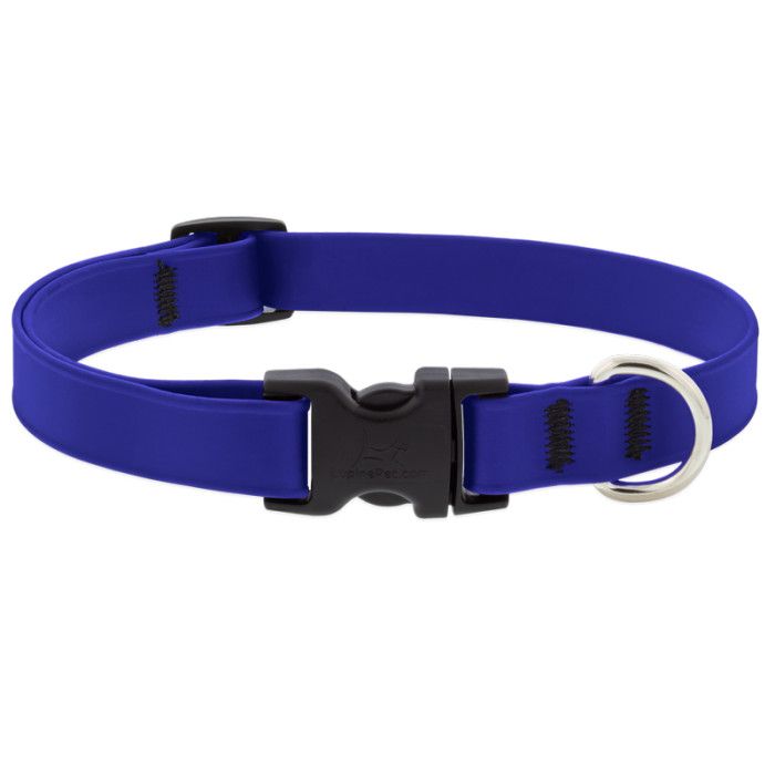 Lupine Adjustable Collar 1'' Splash True Blue 12-20''