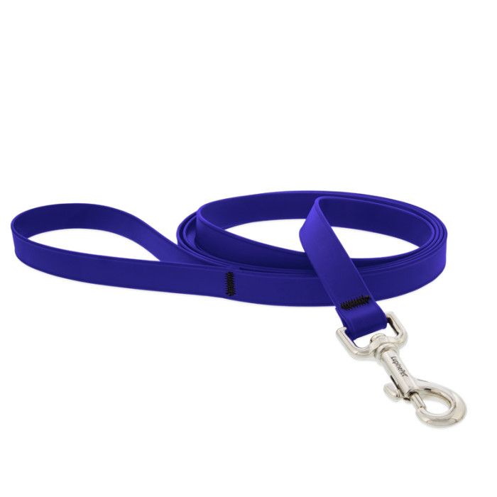 Lupine Leash 1'' Splash True Blue 6ft